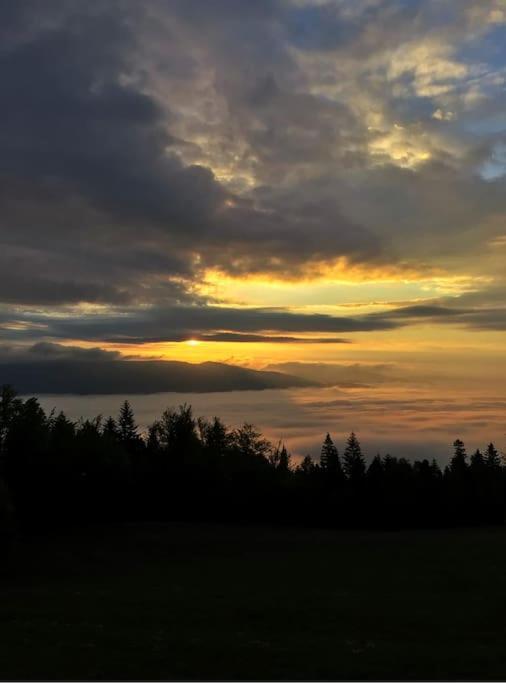 Domek Gorski Na Polanie Goryczkowej 700 M Npm - Szczyrk Dojazd Samochodem Terenowym, W Zimie Utrudniony - Wymagane Lancuchy Exterior foto